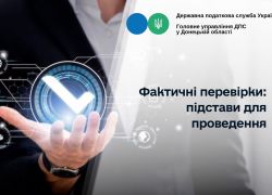 Фактичні перевірки: підстави для проведення